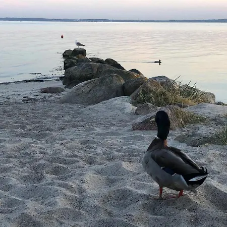 Dom wakacyjny Ostseecamp Luebecker Bucht Haus Ankerplatz Scharbeutz
